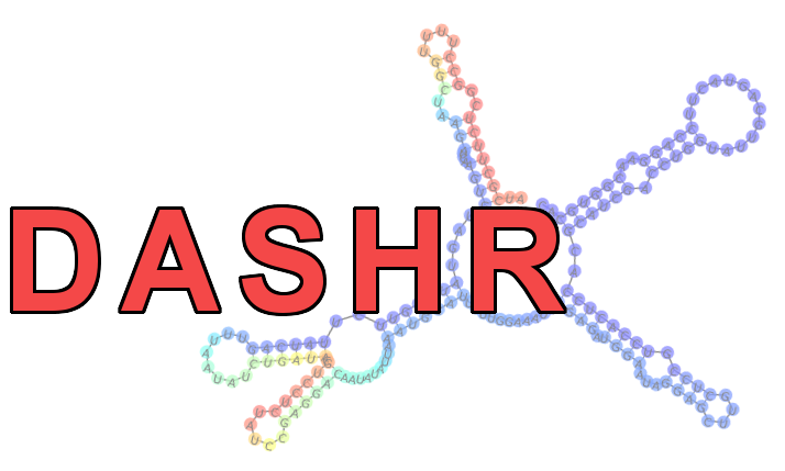 DASHR: human small RNA database